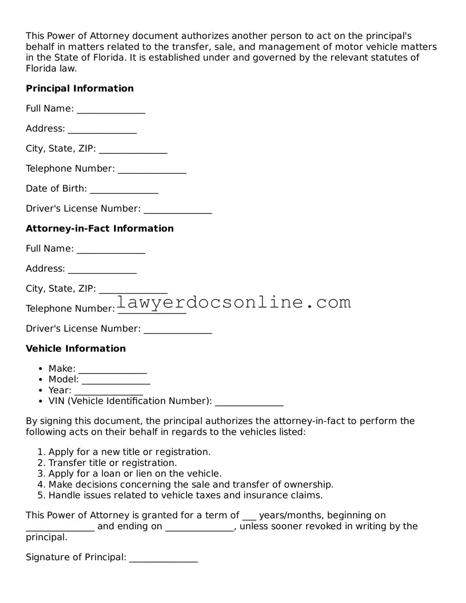 Legal  Motor Vehicle Power of Attorney Form for Florida