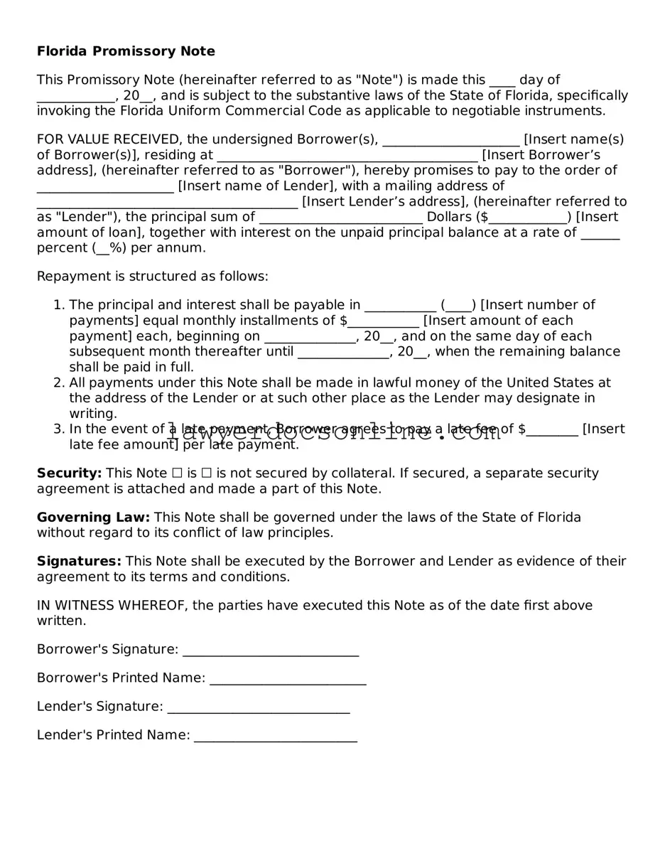 Legal  Promissory Note Form for Florida