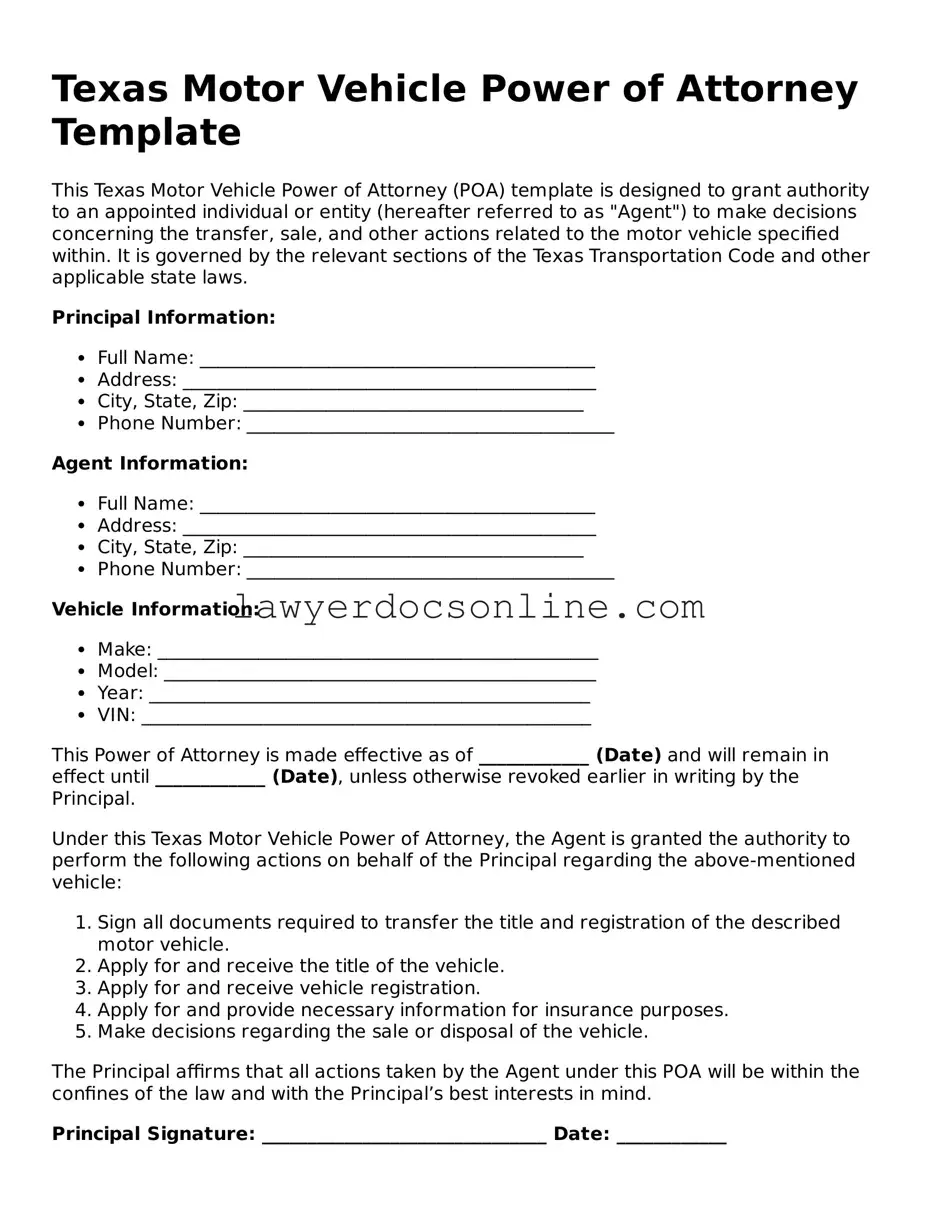Legal  Motor Vehicle Power of Attorney Form for Texas